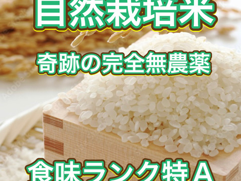 【大注目】 奇跡の🌾お米 「ありがとまい」150g（1合）おいしさも特A 一生に 米・雑穀・粉類