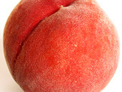 ８月２０日までの販売　大粒「川中島白桃」特秀品２ｋｇ(６～８個位)