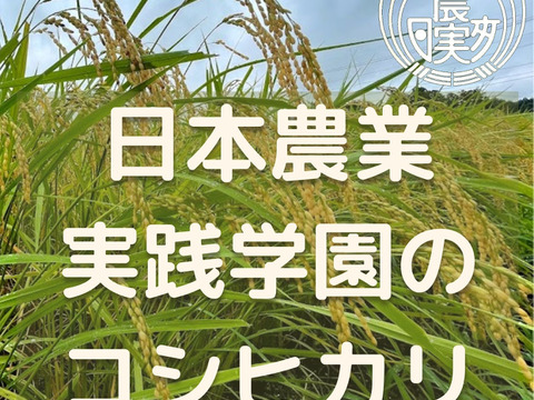 学生と作ったお米　日本農業実践学園のコシヒカリ（白米5kg）【分搗き対応可】令和4年産