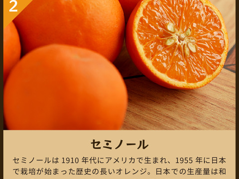 【食べ比べ】みかん・カンキツ詰め合わせセット4kg｜和歌山県海南市下津町から旬のみかん・かんきつ詰合わせセットを産地直送、農園直送でお届け。清見、セミノール、甘夏、八朔等、様々な柑橘が楽しめます