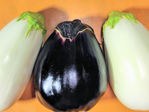 とろける茄子2種セット◇三豊なす&とろーり旨なす:香川県産のとろー とろける茄子2種セット◇三豊なす&とろーり旨なす:香川県産のとろー