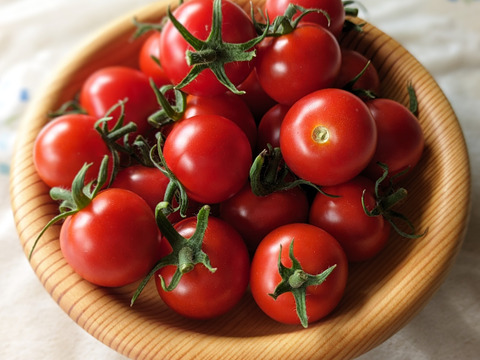 青森県産 ミニトマト ほれまる 200g