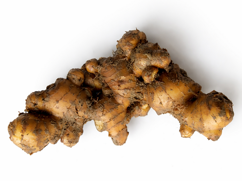 【鮮度抜群】香辛温活！自然栽培　土佐一囲い生姜500g土付き　香りの良い最高の生姜をお届けします。