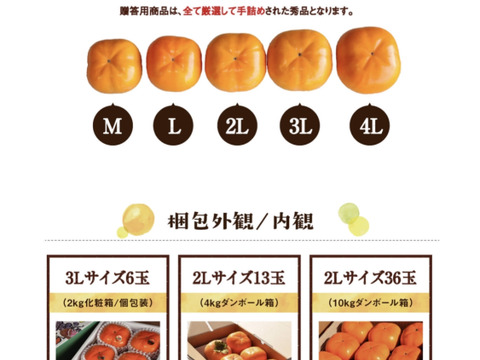 【冬ギフトお歳暮用！】長生き次郎柿『長寿郎』大きい3Lサイズ6玉入り