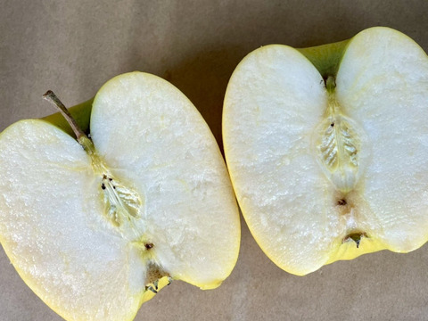 さっぱり系りんご シナノゴールド (B品りんご２㎏)