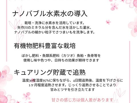 CBCテレビ チャント！で紹介【ホクホク金時】4.5kg 料理で活きる万能いも-簡単レシピつき-