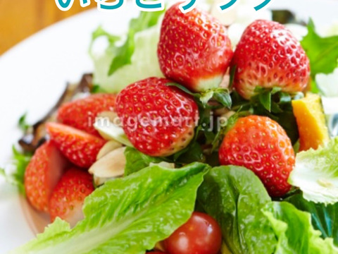 八ヶ岳産 ありがいちご　「よつぼし」 12粒 食べ始めたら止まらない！1粒づつ包装で輸送に強い！標高1000m 太陽とミネラル豊富な水の恵み　期間及び数量限定