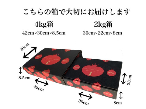 【特別栽培農産物の取得】ソムリエミニトマト　ダイヤ４ｋｇ