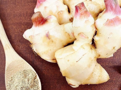 【自然栽培ショウガ使用】クラフトジンジャーシロップ