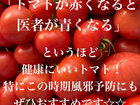 豊作特価⭐️甘くて柔らかい！中玉トマトフルティカ１キロ