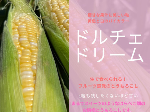 【6月下旬発送】激甘だから1粒も残したくないっ！ドルチェドリーム♡はらぺこ畑のお嬢様トウモロコシ 6本入