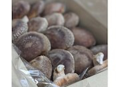 【知らなくて損してない？】★木から栽培する本格派！形自慢
約800～1kg(60サイズ)【日時指定不可】