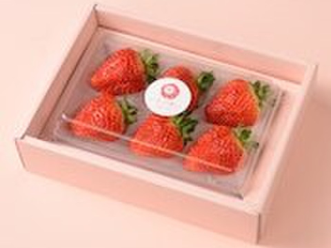きっと想いが伝わるいちご-越後姫4Lサイズ6個入り