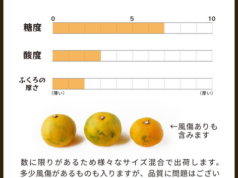 ゆら早生（みかん）5kg家庭用｜和歌山生まれの極早生みかんの