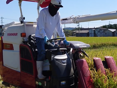 ３種食べ比べセット！キヌムスメ・にこまる・ミルキークイーン 2026年産「岡山県産お米」２kg×３個セット