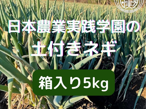 日本農業実践学園の　学生と作った土付き長ネギ　５kg（箱込み）