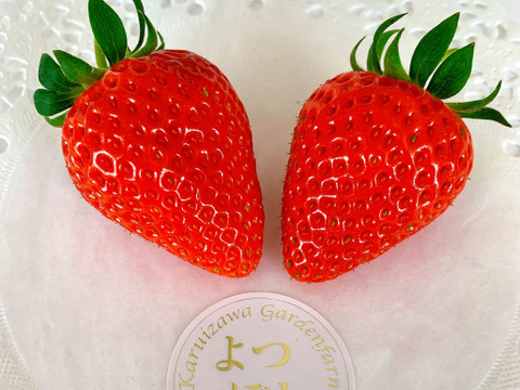 ★冷涼な軽井沢は7月までがいちごの旬★【軽井沢高原いちご・化学農薬を限界まで抑えたこだわりの当園独自農法】☆数量限定・お買い得商品★ご自宅・プロ用☆（無選別６００ｇ）