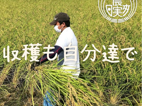 農業学校の学生と作ったお米　日本農業実践学園の【ミルキークイーン】令和4年産 無洗米 白米5kg【分搗き対応可】