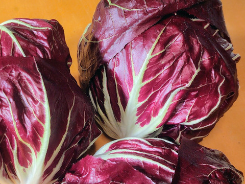 クセになるほろ苦さ！ラディッキオ（トレビス）2個