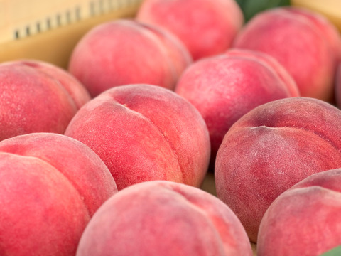 [2025年予約受付中]
長野県産　おどろき3kg（約6~9個）