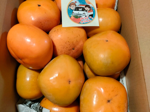 【送料500円引き】
🍁秋の恵み🍂《橋本ふるさと便》　
和歌山橋本の柿ご家庭用5キロ約20コ入り