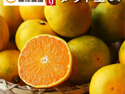 【大特価!!】 ゆら早生（みかん）5kg家庭用｜和歌山生まれの極早生みかんの 果物