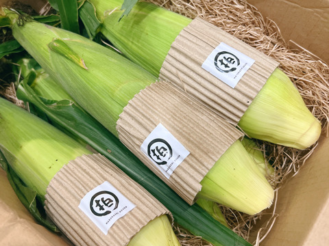 完熟しました！濃厚な甘み！山育ちのトウモロコシ6本