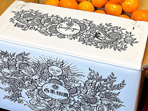 数量限定！2025年の初物みかん！
西果樹園の【極早生みかん５kg】