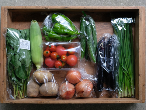 【農薬不使用】夏の高原野菜セット Lサイズ【９～１０品目】