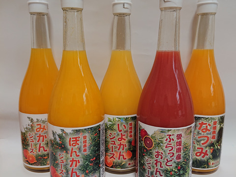 愛媛県産みかんジュース5種詰合わせ（6本）