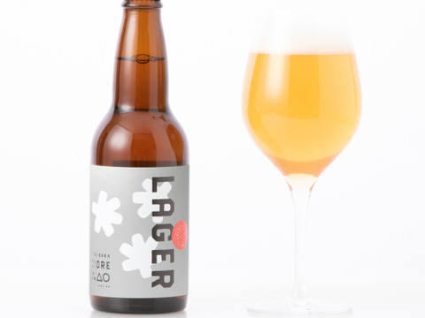 お花見におすすめ🌸🍻シードル3種とノンアル1種計10本セット（テキカカ3本、ノンアルソーダ3本、ライチ2本、ラガー2本）熨斗対応可でギフトにも🎁