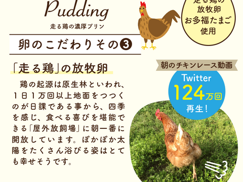 【エシカル賞受賞の放牧卵使用】走る鶏の濃厚プリン（６個入り）＜お中元・お誕生日・内祝いにも＞