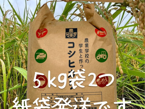 学生と作ったお米　日本農業実践学園のコシヒカリ白米10kg【令和5年産】【無洗米・分搗き対応可】【冬ギフト】