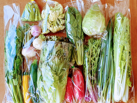 信州四賀より里山の旬野菜セット【S 7～8品目】：長野県産の野菜セット