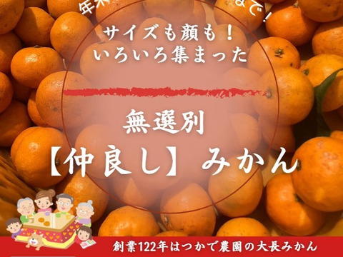 年末年始はコタツで【仲良しみかん】(無選別･家庭食用・10キロ)