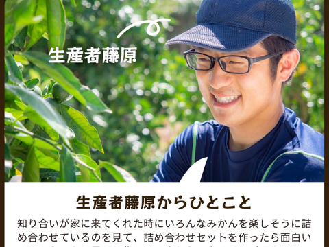 【食べ比べ】みかん・カンキツ詰め合わせセット4kg｜和歌山県海南市下津町から旬のみかん・かんきつ詰合わせセットを産地直送、農園直送でお届け。清見、セミノール、甘夏、八朔等、様々な柑橘が楽しめます
