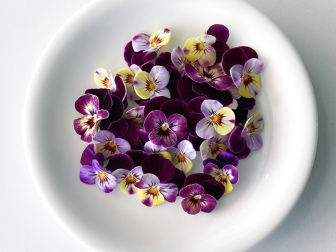 ＜室内栽培＞【エディブルフラワー　ビオラロイヤルパープル（20輪）】EatHanaイトハナ　食べられる花　水洗い不要　日持ち　ケーキ飾り　トッピング　デコレ―ション　装飾　クリスマス　お祝い　誕生日