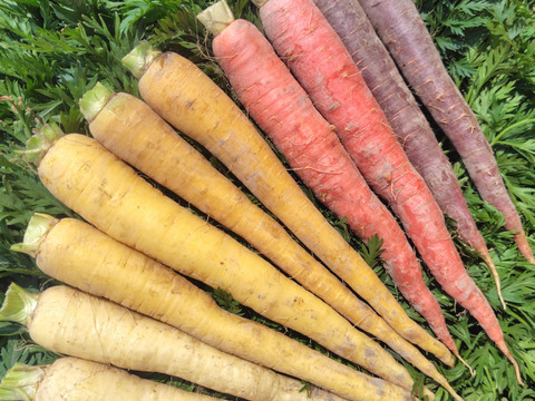 カフェごはん♪ カラフルにんじん700g (6本前後)【葉なし・土付き】