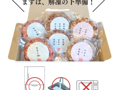 【訳アリ商品】蝦夷鹿と牧草牛と放牧豚のハンバーグ120g×3個セット
