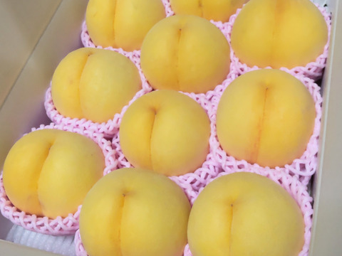 黄ららのきわみ(きららのきわみ)3kg🍑【朝どれ】直送🍑朝採り🍑贈答用🍑夏ギフト🍑自宅用🍑硬い桃🍑かためで甘い&ジューシー🍑9月上旬頃～収穫予定🍑晩生品種🍑