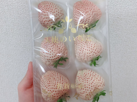 天使のいちご®︎（240g✖️2）