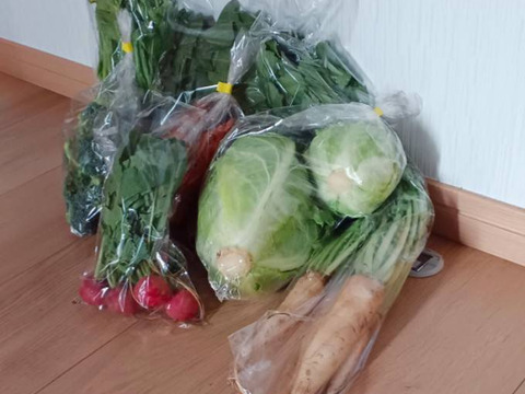 旬野菜Ｍサイズ【7～9品目】生命力溢れる野菜詰め合わせ＊農薬·化学肥料·除草剤不使用《1日5セット定期便限定》