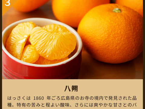 【食べ比べ】みかん・カンキツ詰め合わせセット4kg｜和歌山県海南市下津町から旬のみかん・かんきつ詰合わせセットを産地直送、農園直送でお届け。清見、セミノール、甘夏、八朔等、様々な柑橘が楽しめます