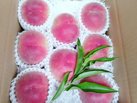 YK２T【中生種】滴る果汁❗【硬くても甘い桃🍑】ご家庭用桃・約２kg（７個～５個）【2023年予約】