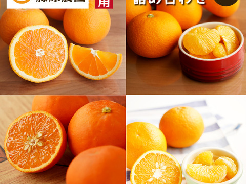 【食べ比べ】みかん・カンキツ詰め合わせセット4kg｜和歌山県海南市下津町から旬のみかん・かんきつ詰合わせセットを産地直送、農園直送でお届け。清見、セミノール、甘夏、八朔等、様々な柑橘が楽しめます