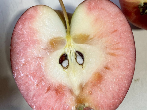 赤肉りんご 炎舞 （B品2㎏）