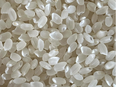 【令和6年産】特別エシカル米　石川県産コシヒカリ（白米）9kg