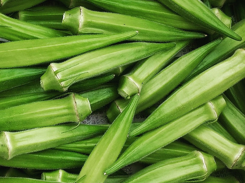 オクラ&人気のとろける食感ナスセット(とろーり旨なす&ビステッカ)【さぬき讃ベジタブル】