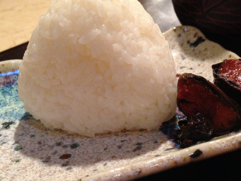 【合鴨農法】武田家のお米 あきたこまち 白米 5kg【令和3年産】