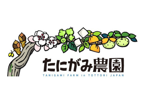 「王秋梨」2.5キロ(4～5玉)たにがみ農園 鳥取県産 みずみずしい 梨 nashi ナシ なし